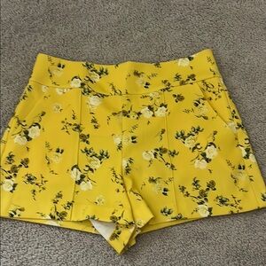 Alice + Olivia Yellow High Waist Tailored Shorts